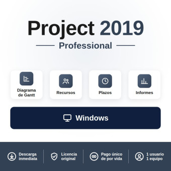 Project Professional 2019