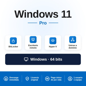 Windows 11 Pro (1 PC)
